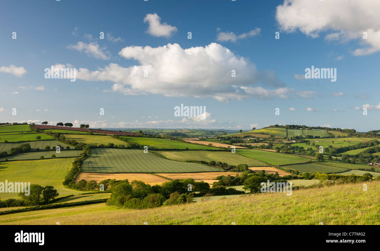 L'été du matériel roulant campagne près de Stockleigh Pomeroy, Devon, Angleterre. En été (juin) 2011. Banque D'Images