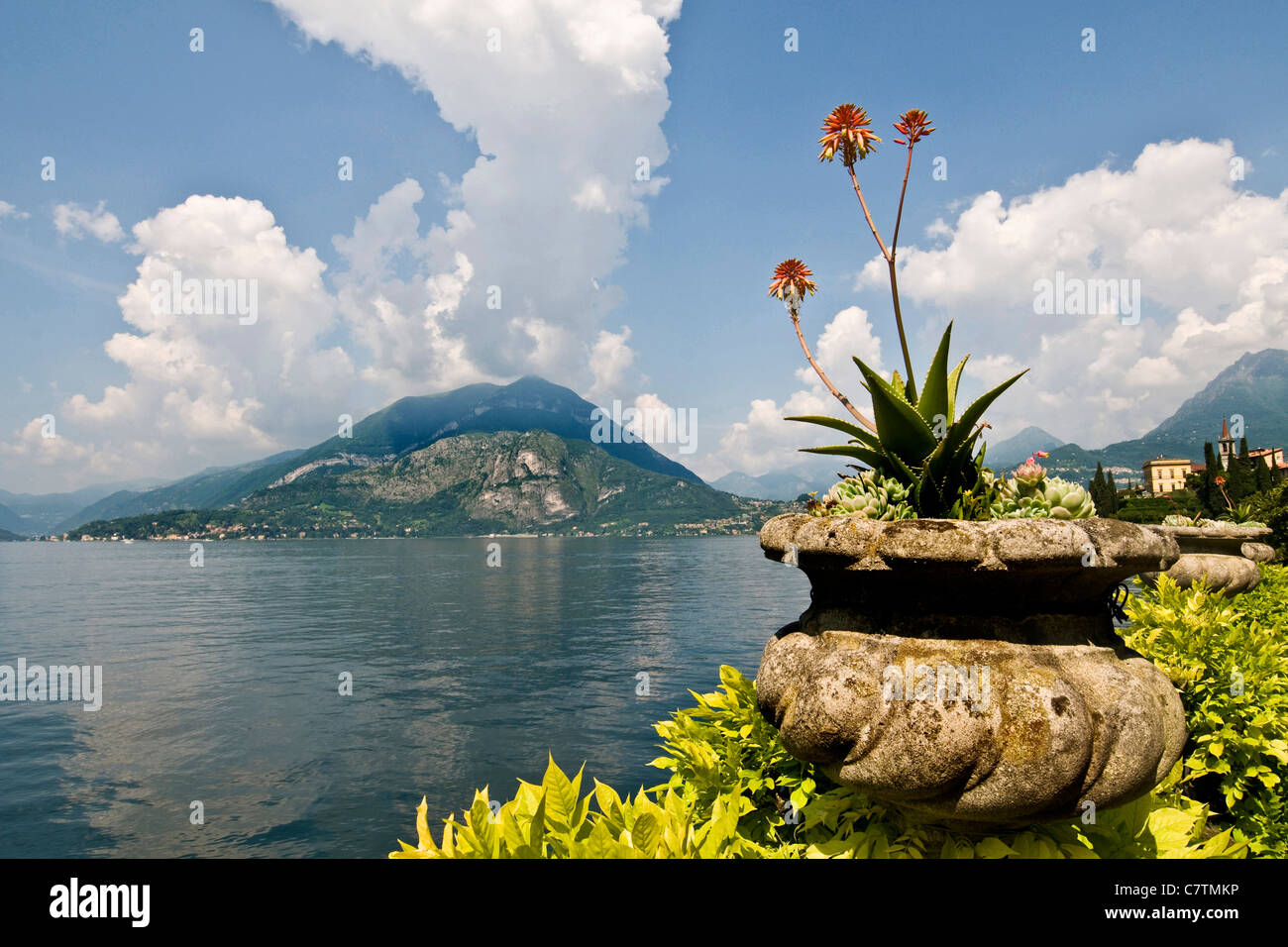 L'Italie, la Lombardie, le lac de Côme, Ravello, Villa Monastero, jardin Banque D'Images