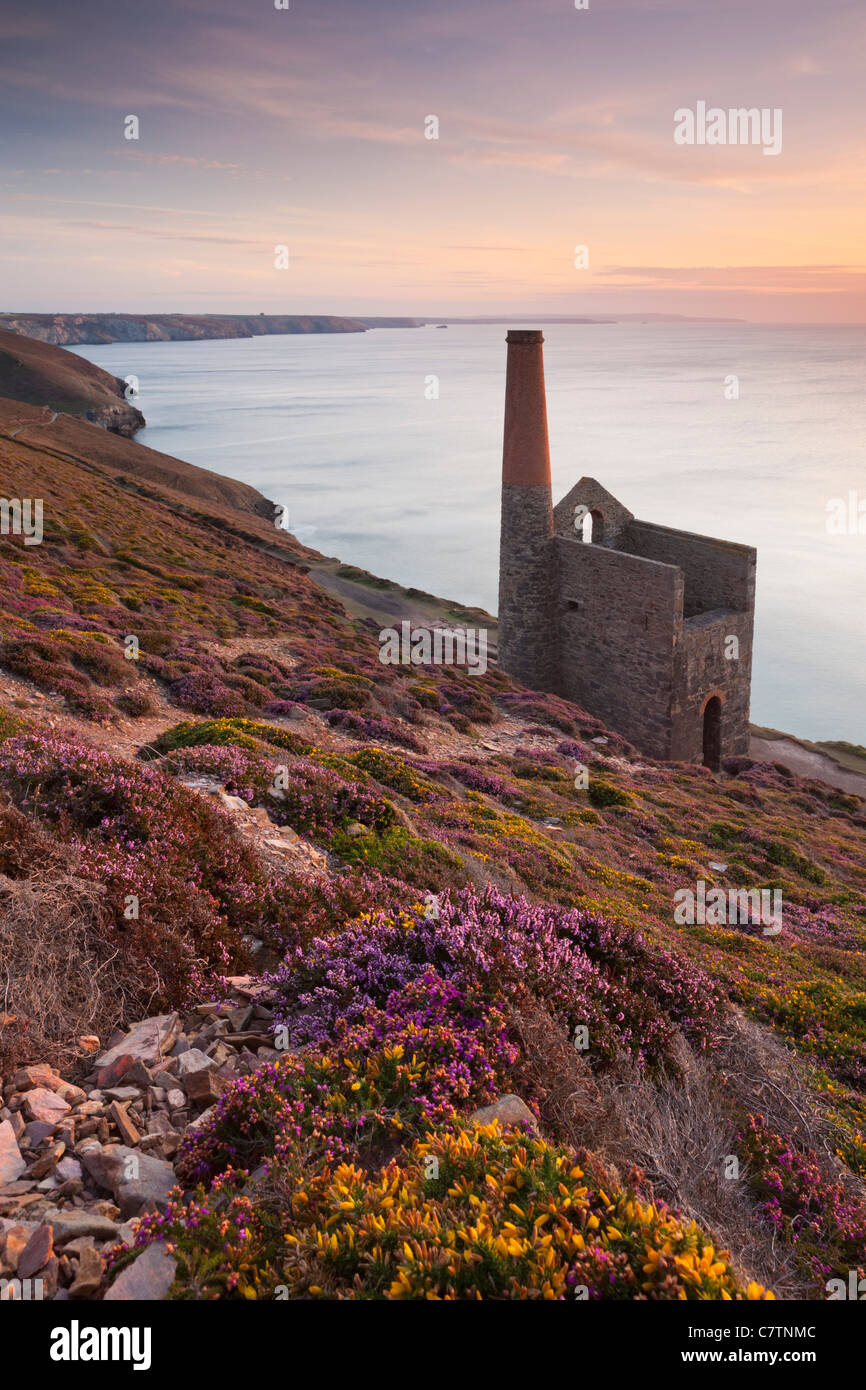 Towanroath Engine House sur la clifftops près de St Agnes, Cornwall, Angleterre. L'été (août) 2011. Banque D'Images