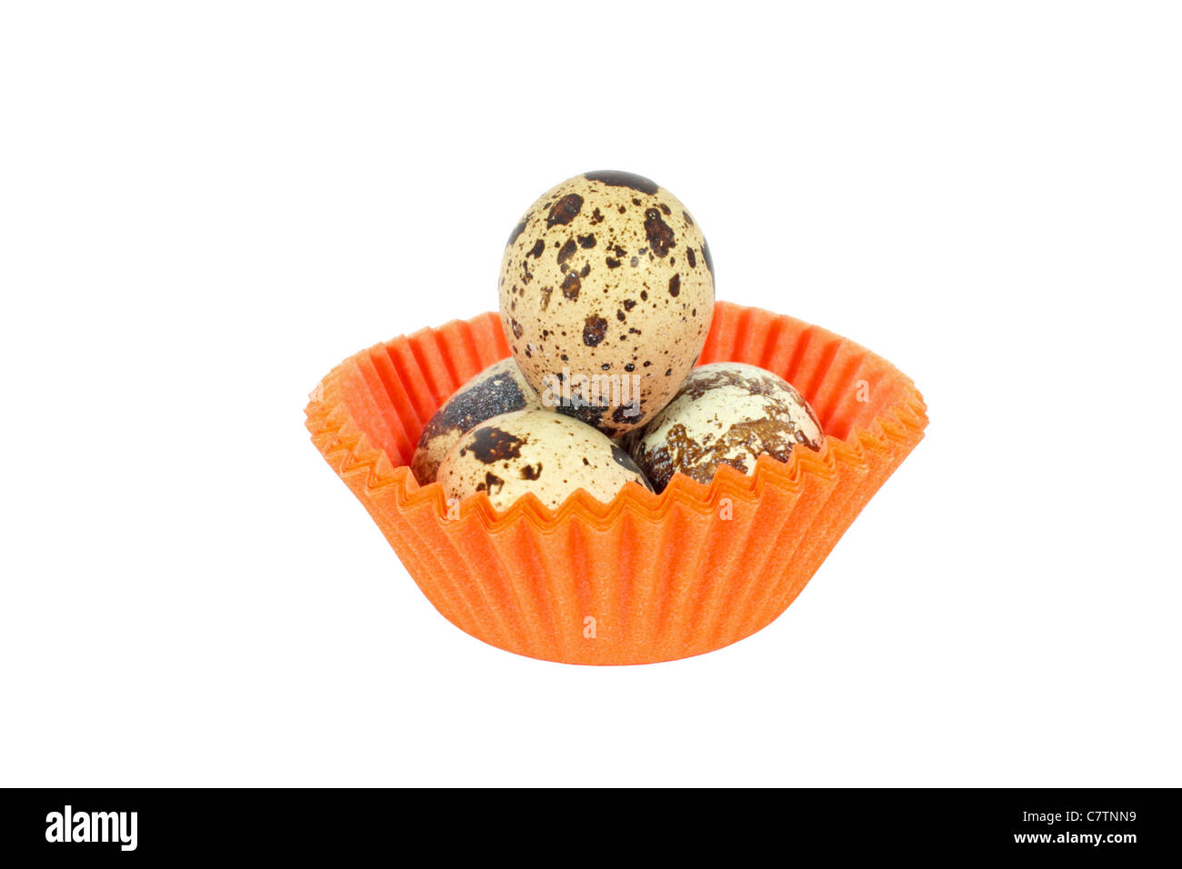 Oeufs de cailles du Japon dans la petite tasse de papier isolated on white Banque D'Images