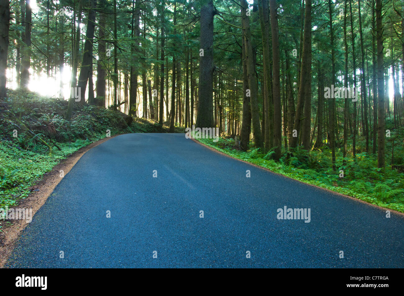 Parc d'état d'Ecola possède à la fois une abondance de belles plages et est riche en histoire. De l'Oregon. USA Côte Ouest américaine. Banque D'Images