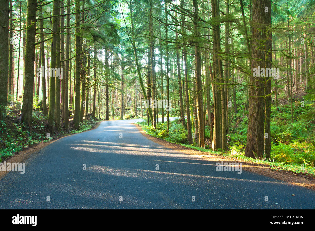 Parc d'état d'Ecola possède à la fois une abondance de belles plages et est riche en histoire. De l'Oregon. USA Côte Ouest américaine. Banque D'Images