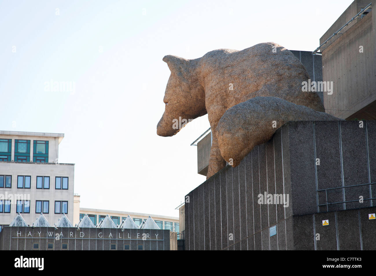 Une gigantesque sculpture de foin un milieu urbain (Susan Fox la paille géante fox) à la Hayward Gallery de Londres. Banque D'Images