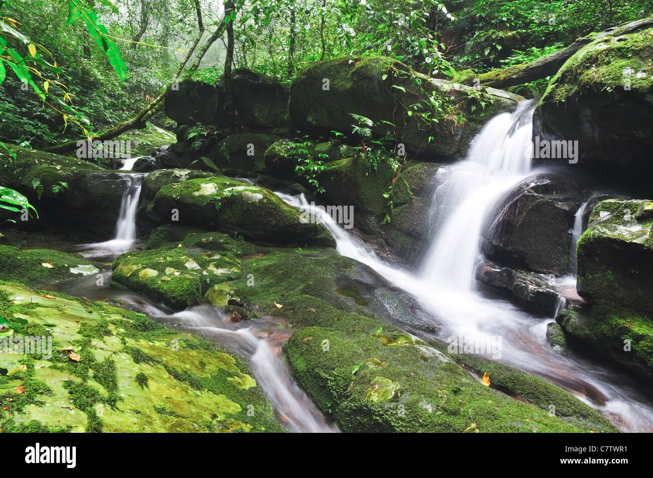 Chute d'eau à 'poo soi dao' national park, Thaïlande Banque D'Images