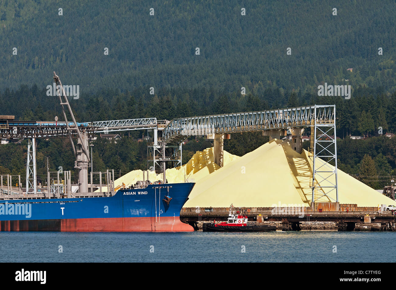 Un cargo, 'Vent d'Asie", les quais à Vancouver Wharves terminal de cargaison en vrac, North Vancouver, Canada. Banque D'Images