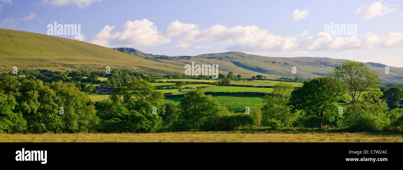 Paysage rural Llanddeusant (Y Mynydd Du) Montagne Noire Parc national de Brecon Beacons Carmarthenshire Wales Banque D'Images