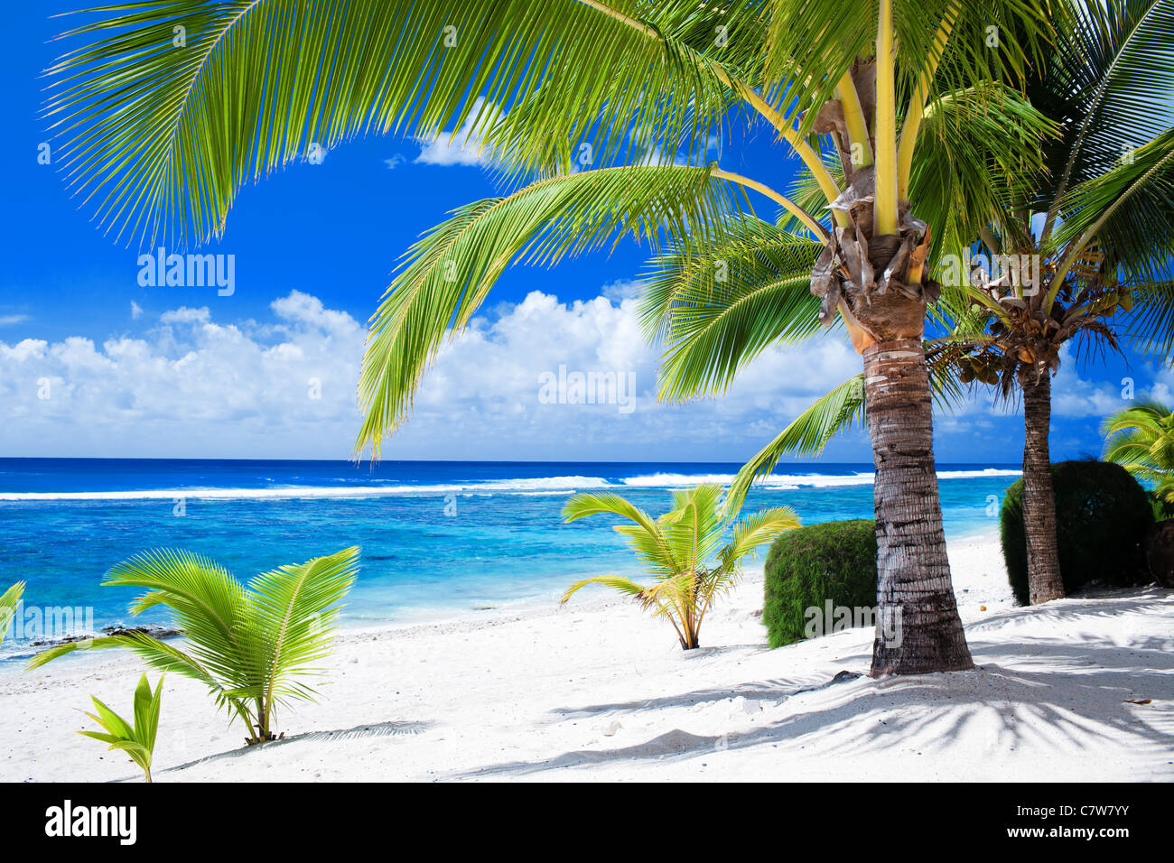 Palmiers surplombant une plage de sable blanc et lagon bleu Banque D'Images