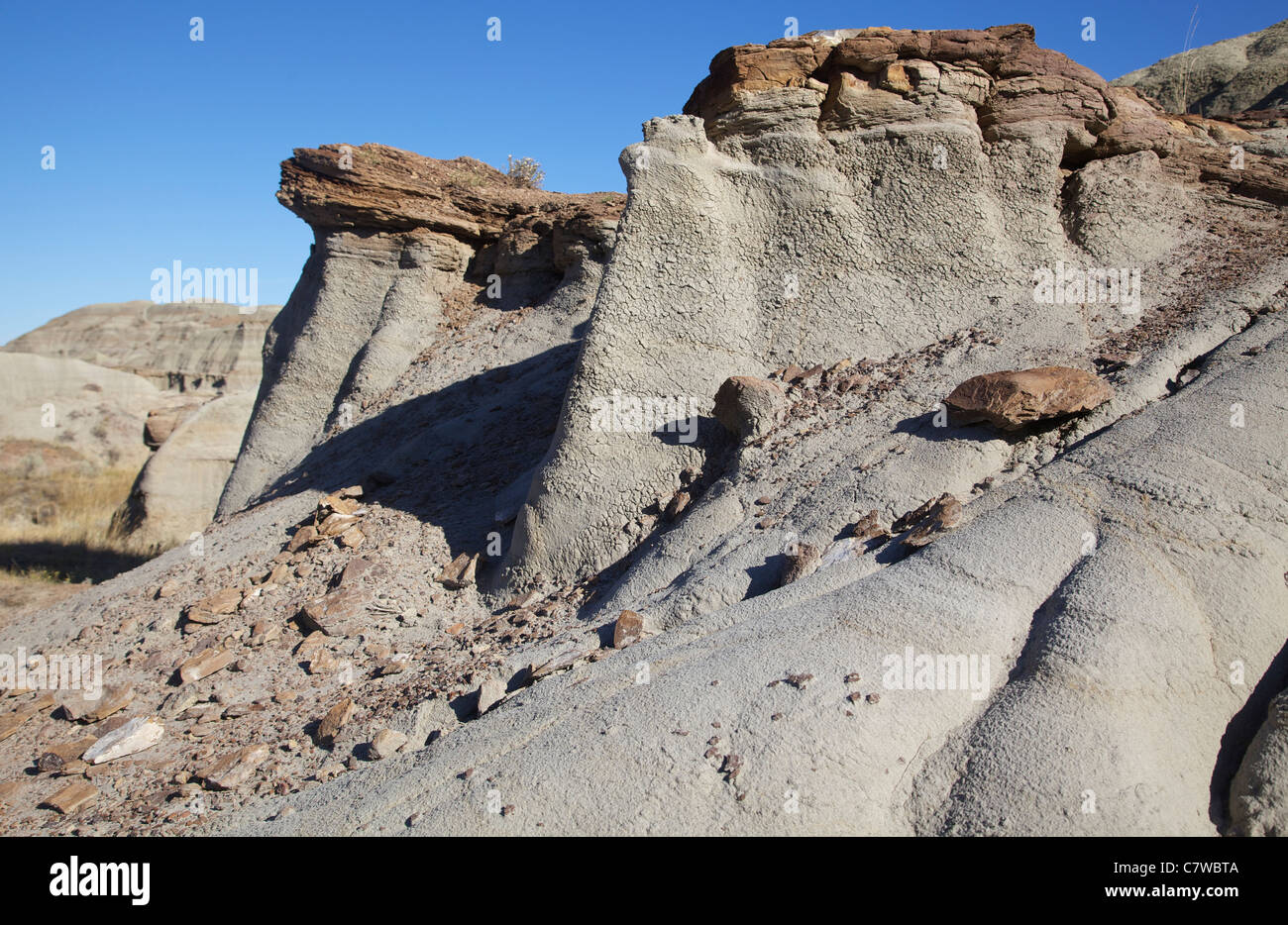 Le parc provincial Dinosaur en Alberta Banque D'Images