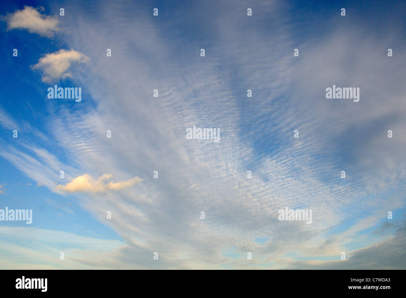 La formation de nuages avec cirrocumulus nuage, ackerel "sky' Norfolk, UK, Septembre Banque D'Images