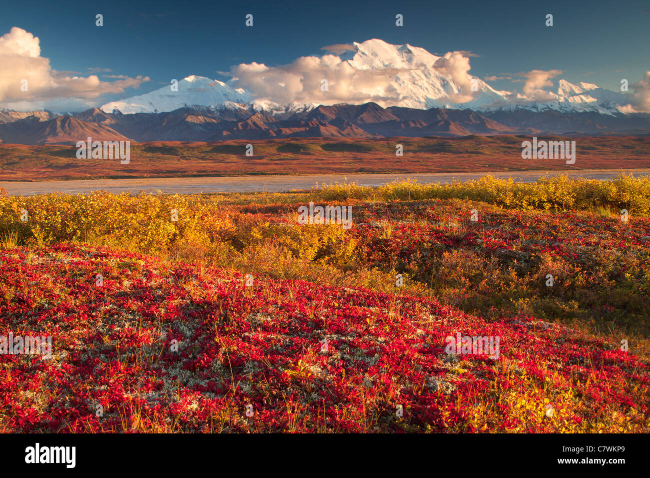 Mt. McKinley Denali, ou le parc national Denali, en Alaska. Banque D'Images