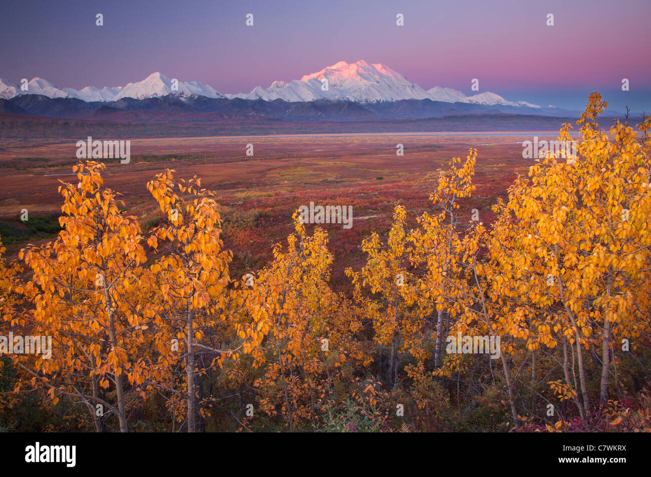 Mt McKinley, également appelé Denali, le parc national Denali, en Alaska. Banque D'Images