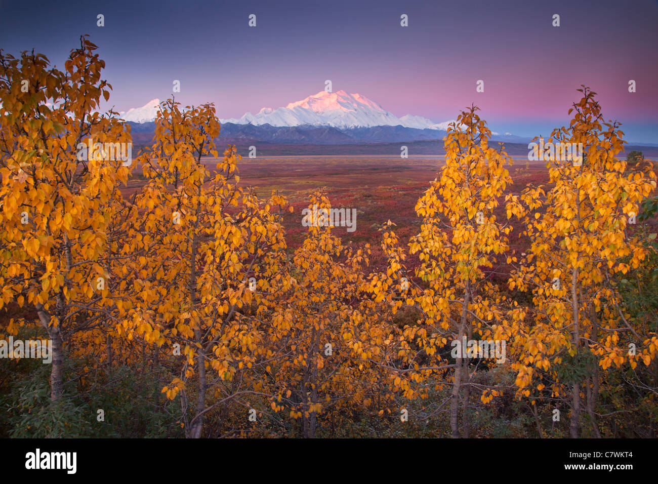 Mt McKinley, également appelé Denali, le parc national Denali, en Alaska. Banque D'Images