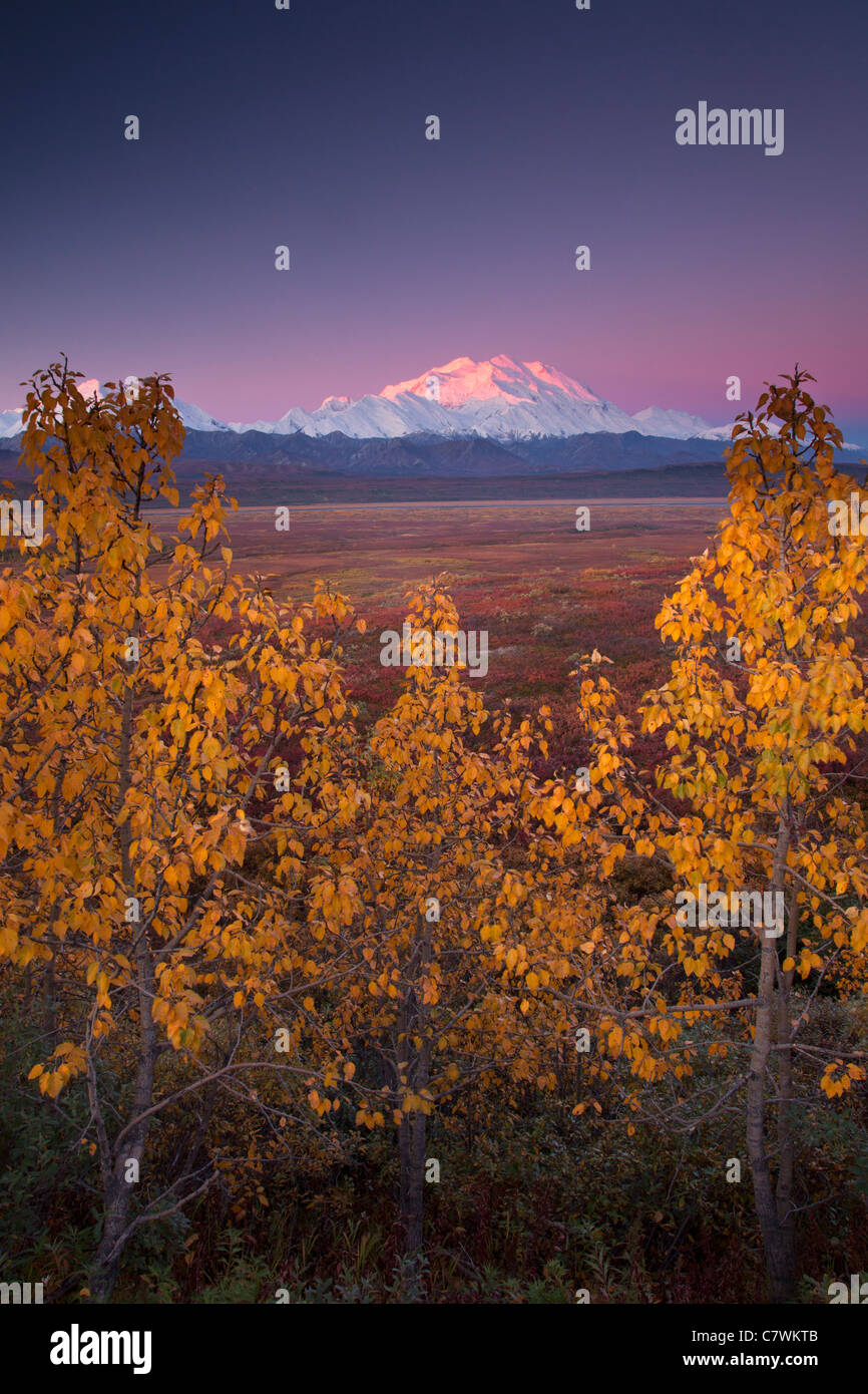 Mt McKinley, également appelé Denali, le parc national Denali, en Alaska. Banque D'Images