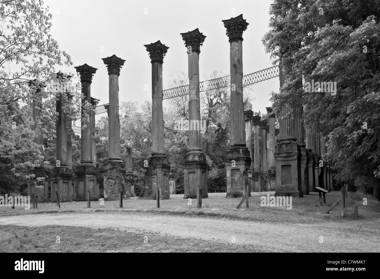 Le Mississippi, Windsor Plantation House ruines, achevé en 1861 Banque D'Images