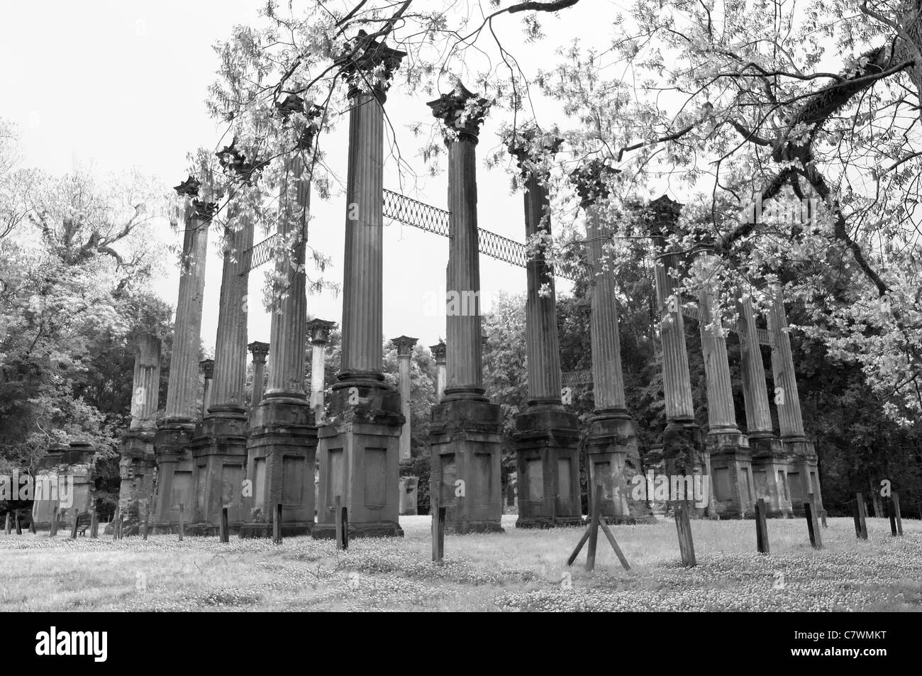 Le Mississippi, Windsor Plantation House ruines, achevé en 1861 Banque D'Images