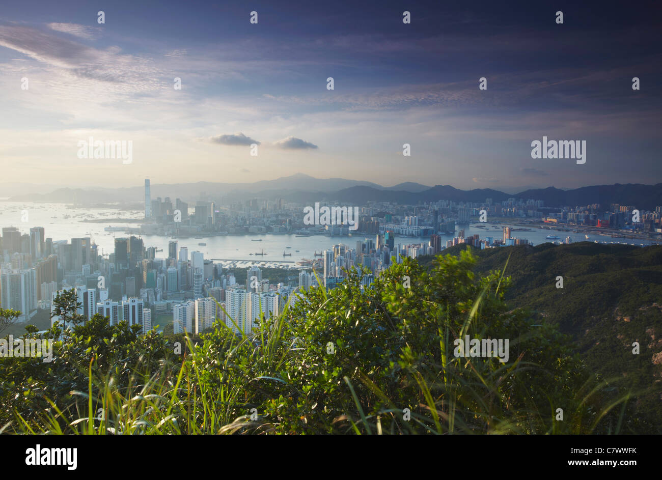 Voir l'île de Hong Kong et Kowloon skylines de Tai Tam Country Park, Hong Kong, Chine Banque D'Images
