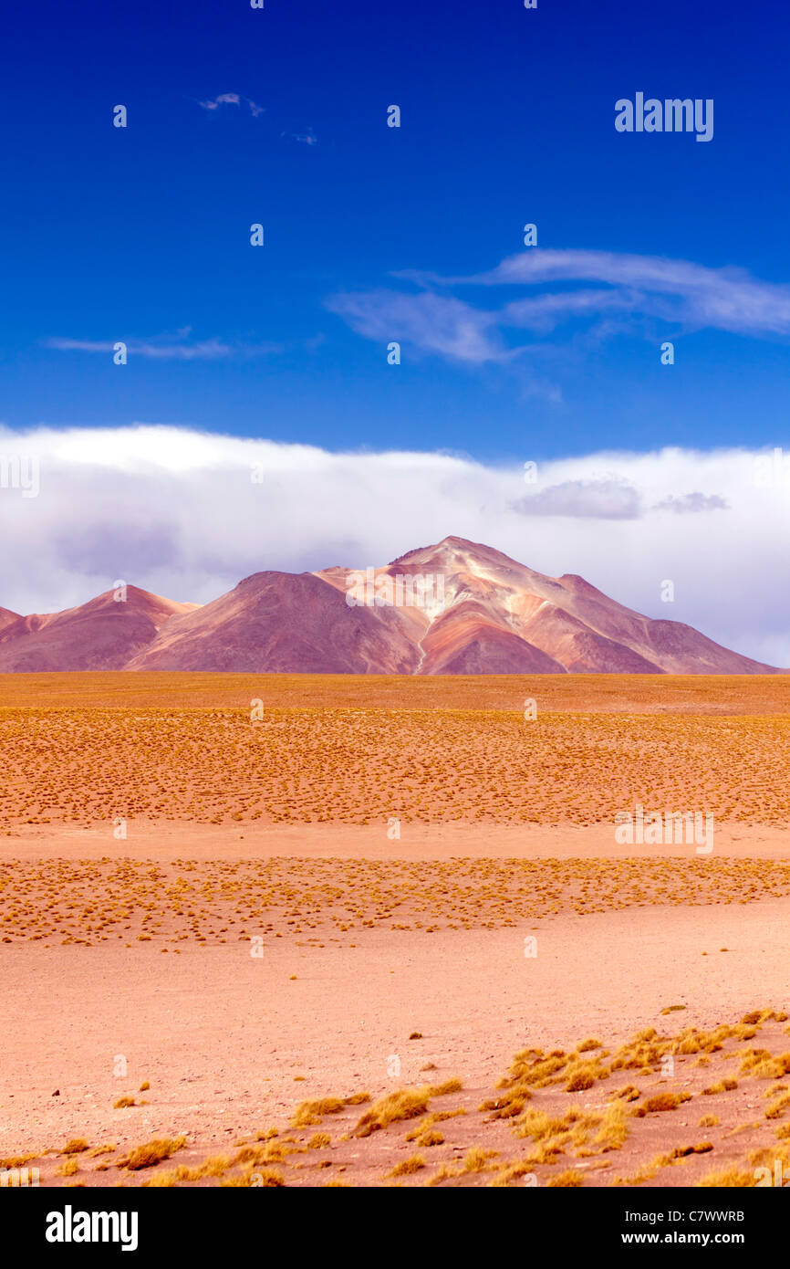 Le magnifique paysage de Reserva de la faune andine Eduardo Avaroa, Bolivie Banque D'Images