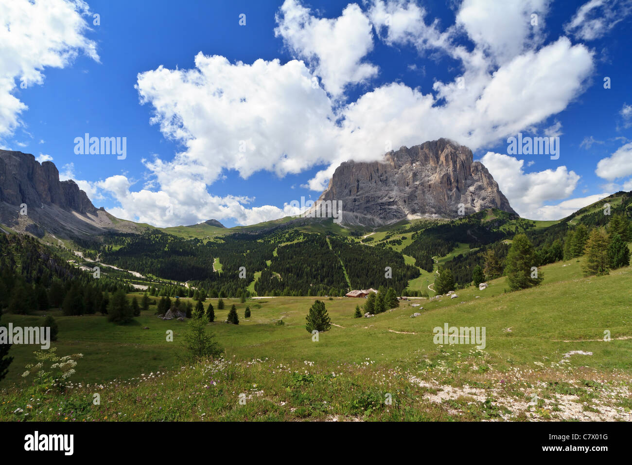 Paysage estival de Sassolungo mont du col Gardena Dolomites italiennes, Banque D'Images
