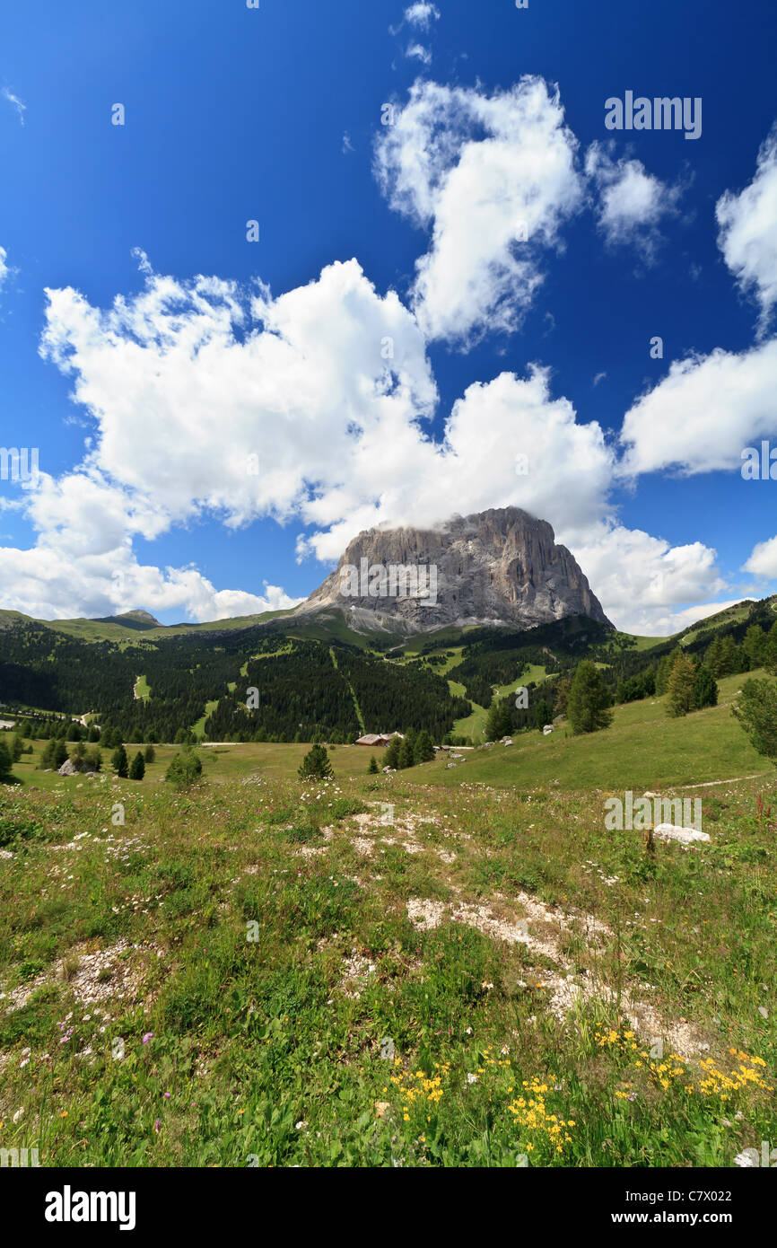 Vue d'été de Sassolungo mont de Gardena pass, Dolomites italiennes Banque D'Images