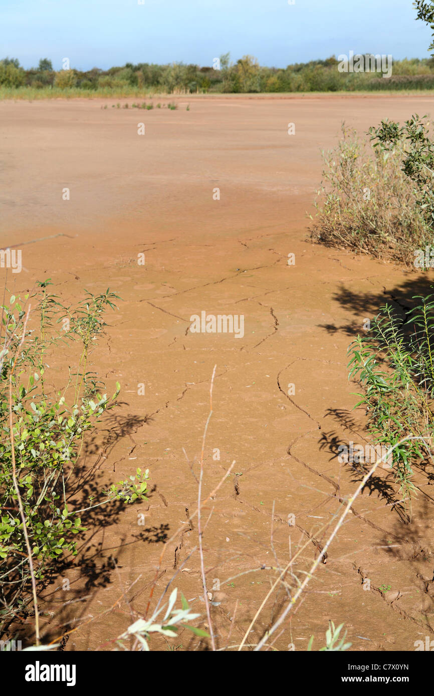 Étendue de sables mouvants Banque D'Images
