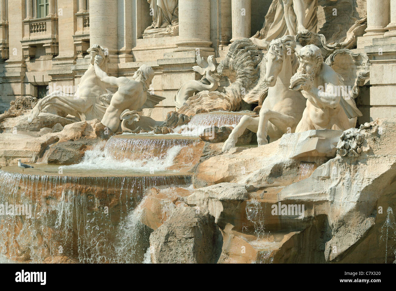 Sculptures de la fontaine de Trevi Fontana di Trevi Rome, Italie Banque D'Images