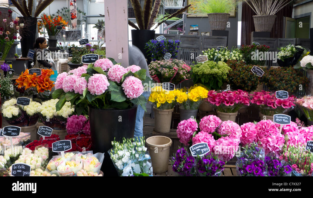 Dans le décrochage (marché aux fleurs), Amsterdam, Pays-Bas Banque D'Images