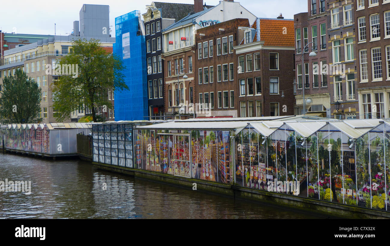 Retour de la fleur (marché), Amsterdam, Pays-Bas Banque D'Images