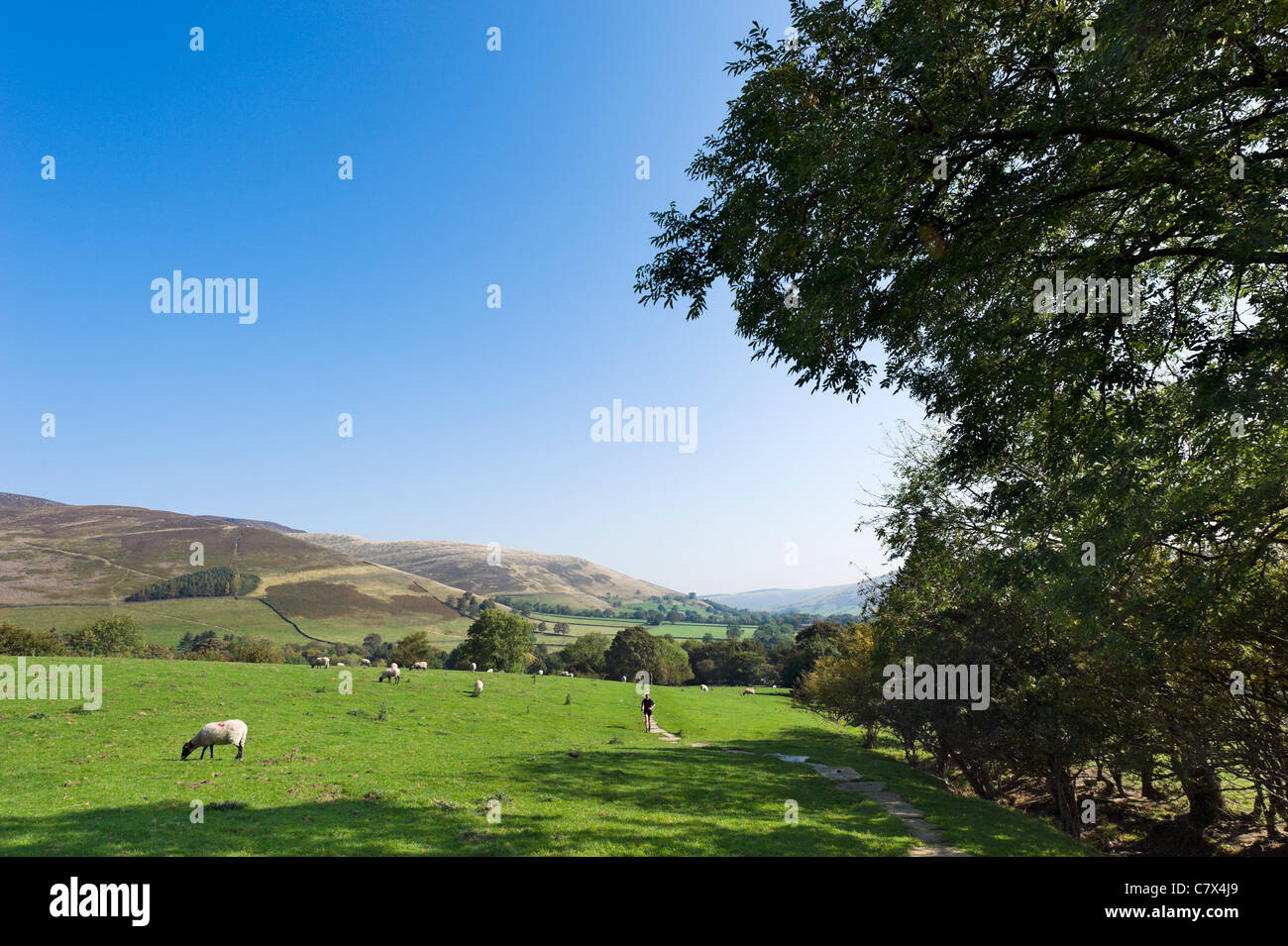 Runner sur le Pennine Way près de son démarrage en Edale à vers le village, parc national de Peak District, Derbyshire, Angleterre Banque D'Images