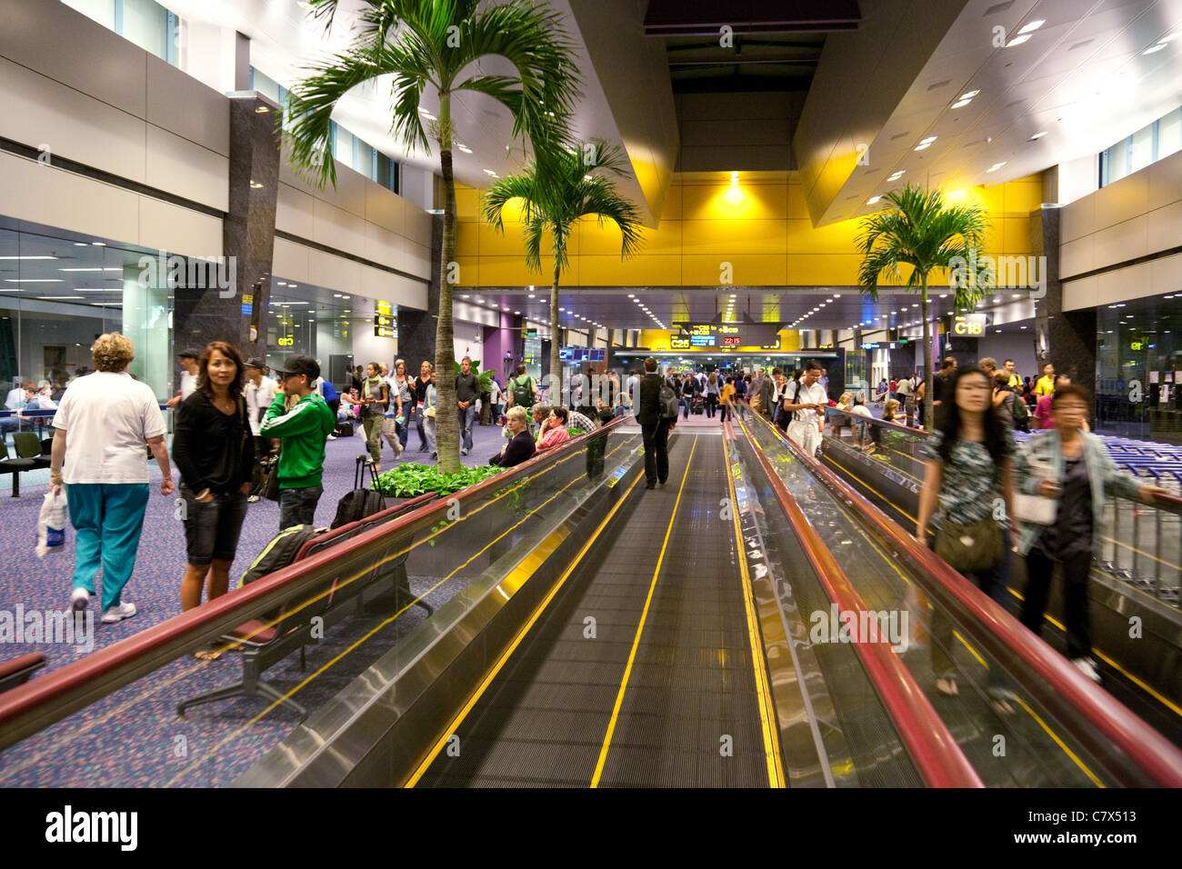 Palmiers dans l'intérieur de l'aéroport de Changi à Singapour Banque D'Images