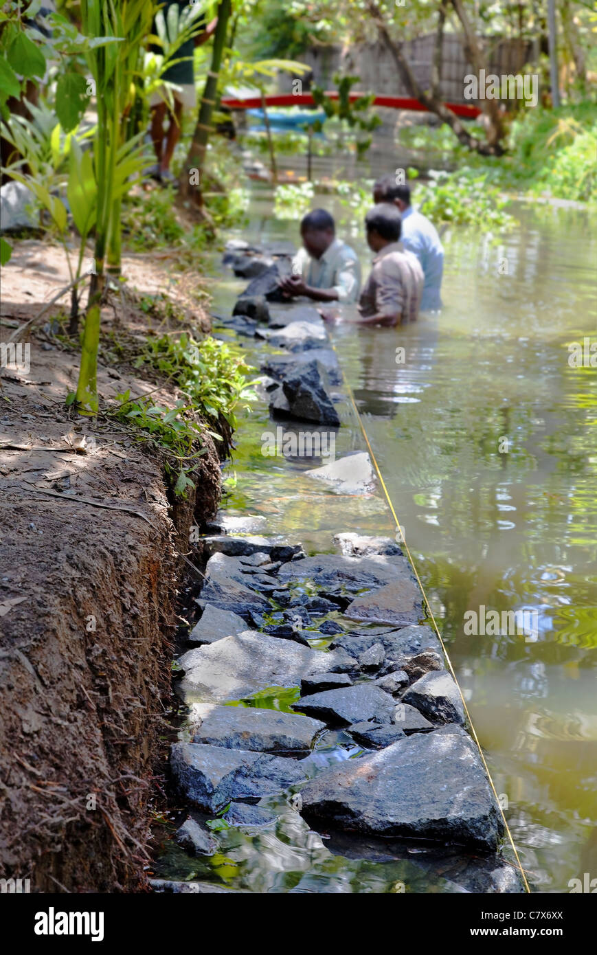 Portrait d'entrepreneurs de construction travaillant sur un mur en pierre sèche sous l'eau dans le Kerala en Inde, avec l'espace vertical de la récolte Banque D'Images