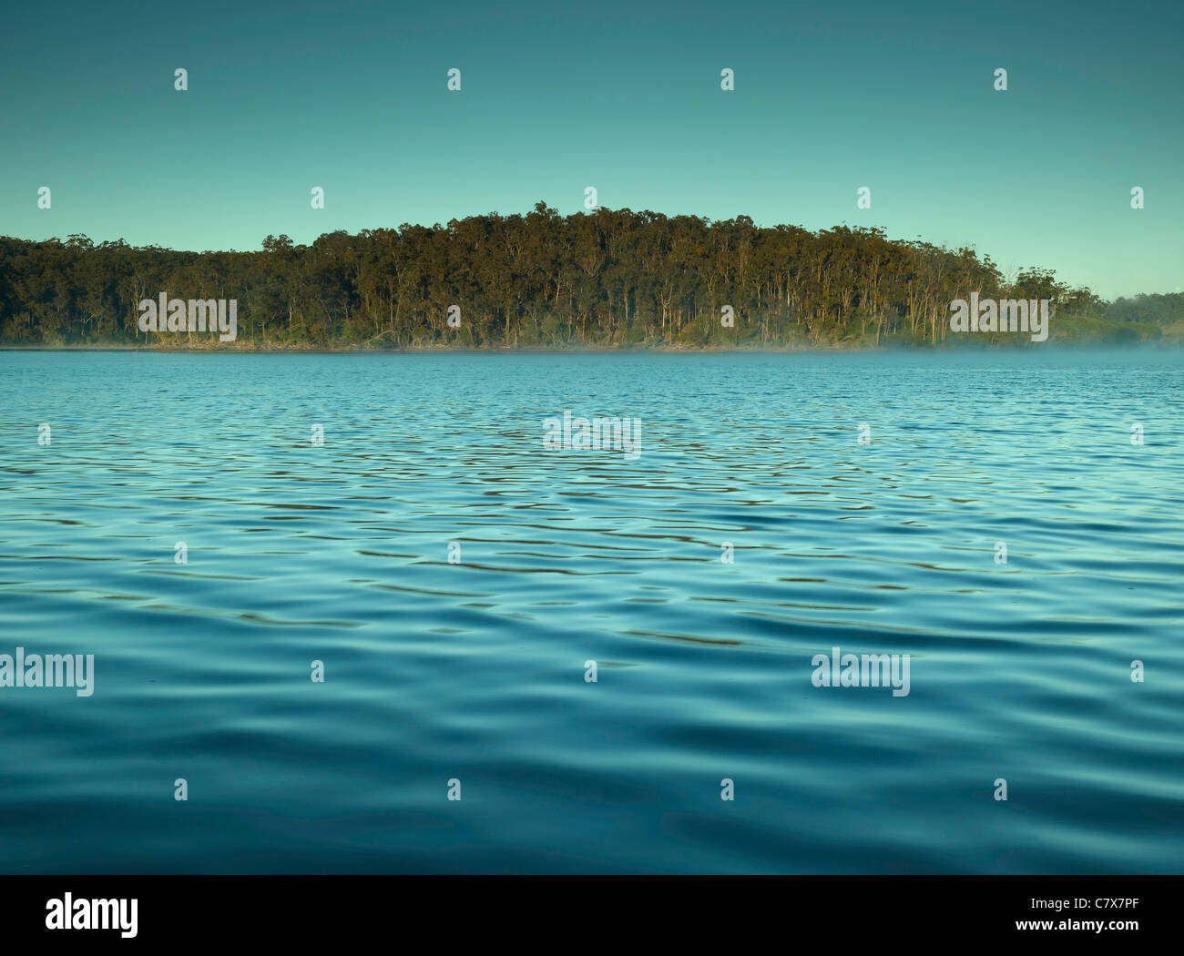 Ligne de brume sur le lac Wallaga autour de sunrise, Wallaga Lake National Park, NSW Australie Banque D'Images