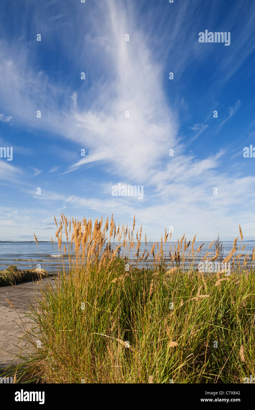 Sur la mer. L'Estonie Banque D'Images