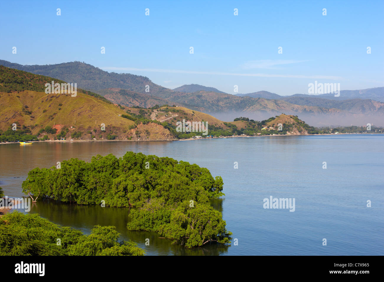 Les mangroves près de Dili, Timor-Leste (Timor oriental), l'Asie Banque D'Images