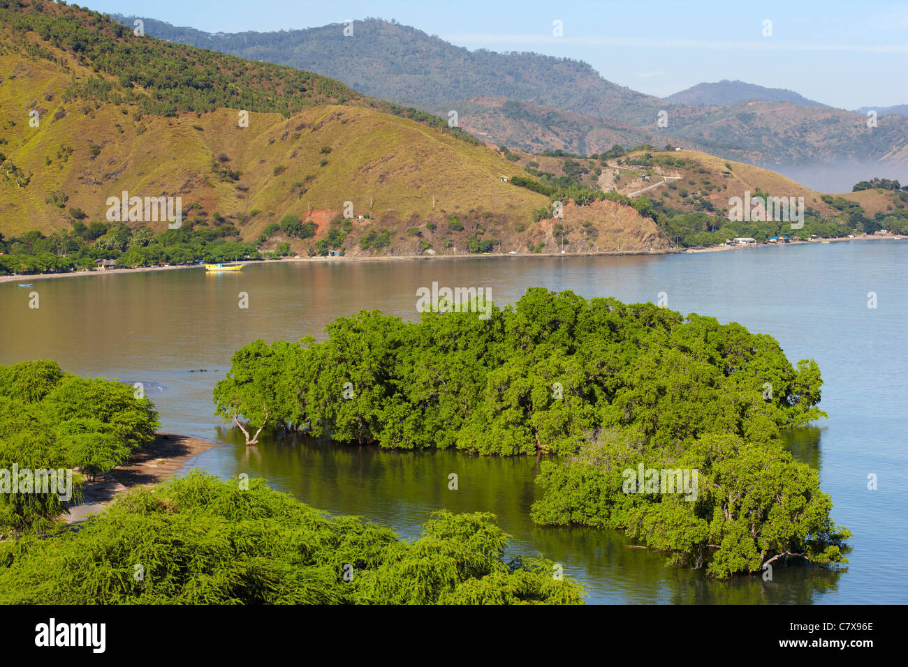 Les mangroves près de Dili, Timor-Leste (Timor oriental), l'Asie Banque D'Images