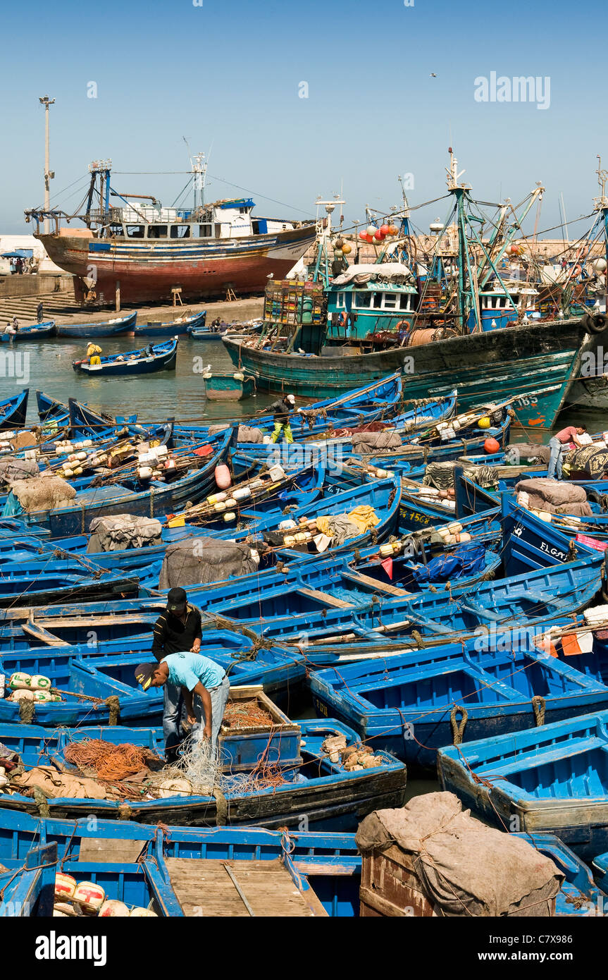 Les bateaux de pêche dans le port, Essaouira, Maroc Banque D'Images