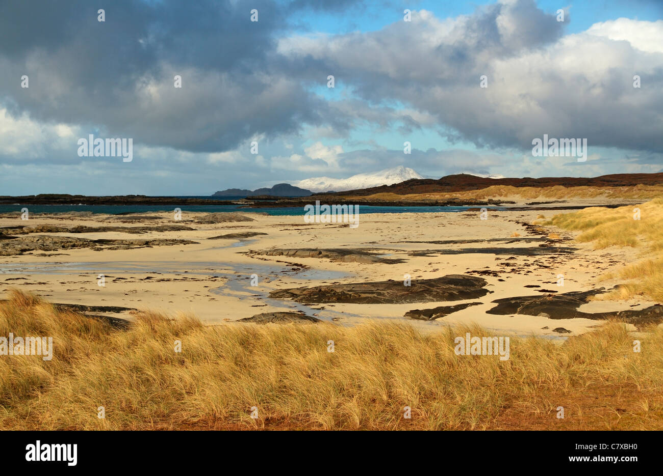 Sanna Bay, Marram Grass ou Becherchegrass sur le Portuaik à Sanna Coastal Walk, Ardnamurchan, Écosse, Royaume-Uni Banque D'Images