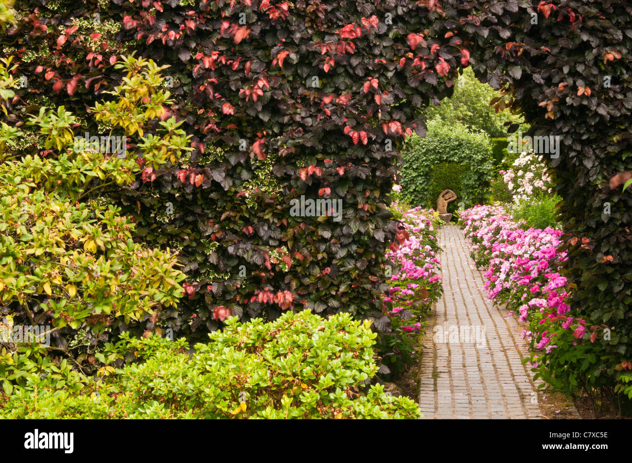 Entrée voûtée dans une haie de Hêtre cuivre et Holly à la frontière dans le jardin coloré rose à Kiftsgate Court, Arles, France Banque D'Images