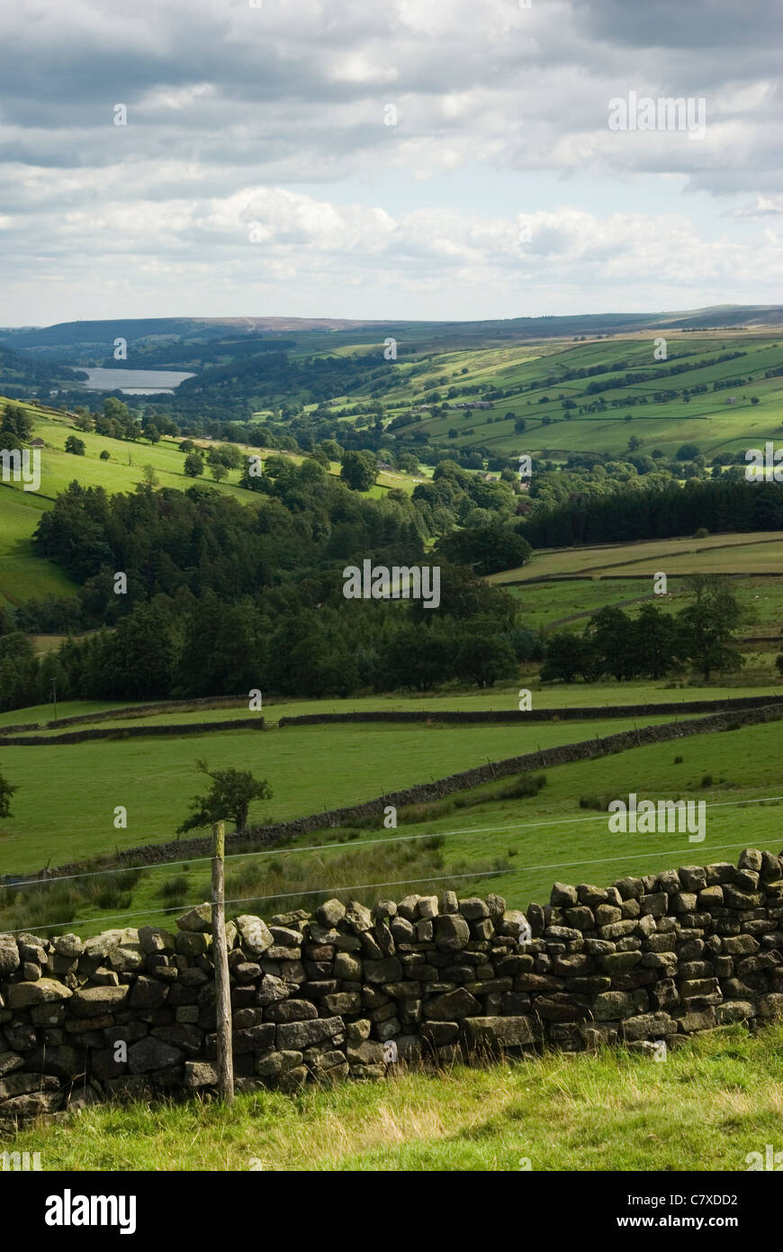 Nidderdale en été, Yorkshire, UK Banque D'Images