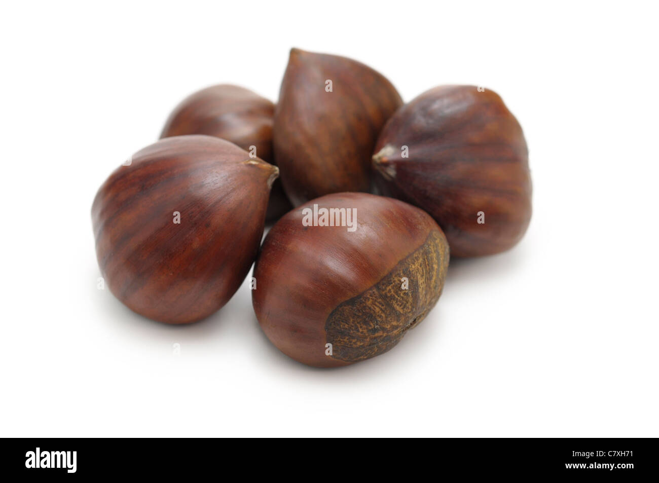 Les châtaignes, Castanea Banque D'Images