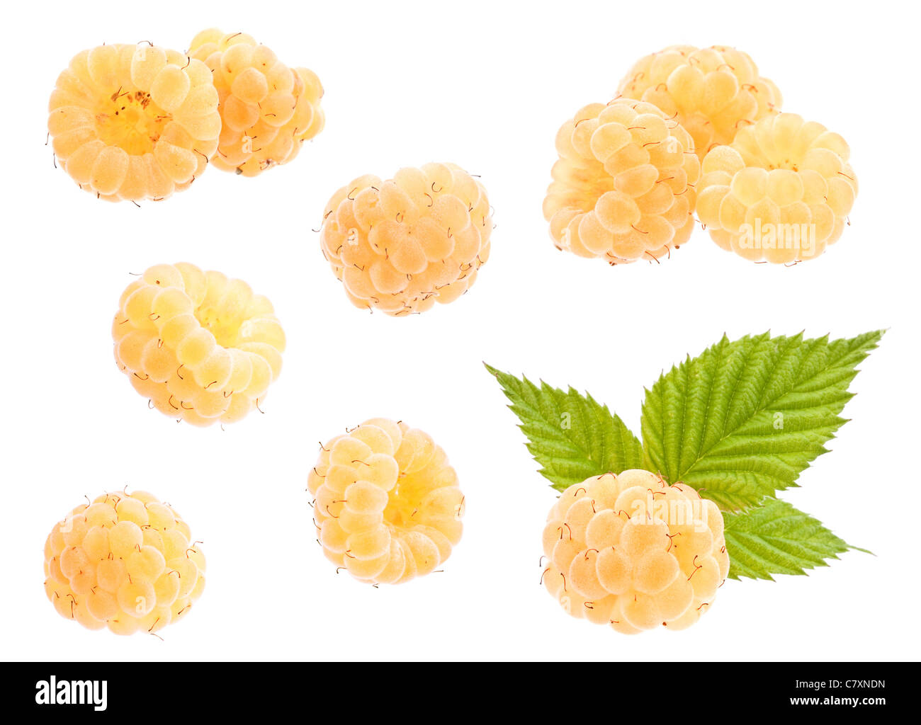 De framboise libre isolé sur fond blanc Banque D'Images