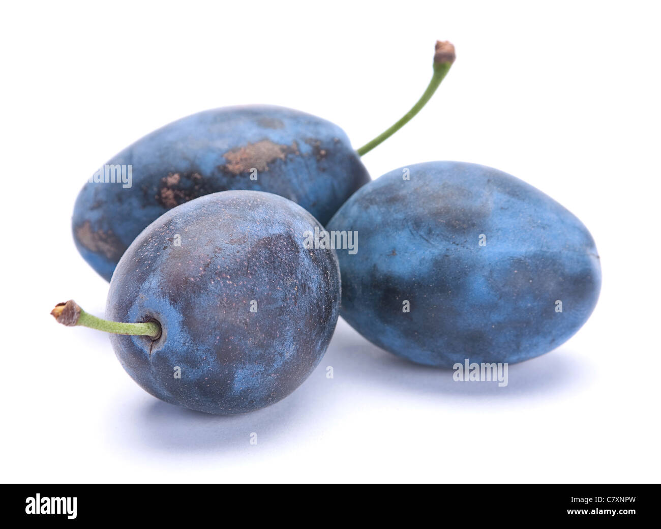 Blue fruit mûres libre isolated on white Banque D'Images
