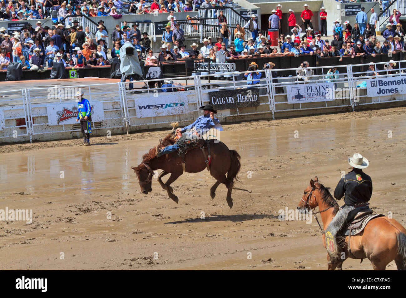 Saddle bronc riding événement au Stampede de Calgary, Canada. Banque D'Images