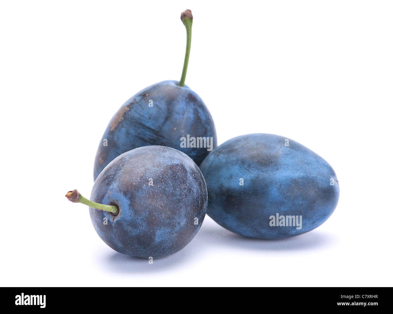 Blue fruit mûres libre isolated on white Banque D'Images
