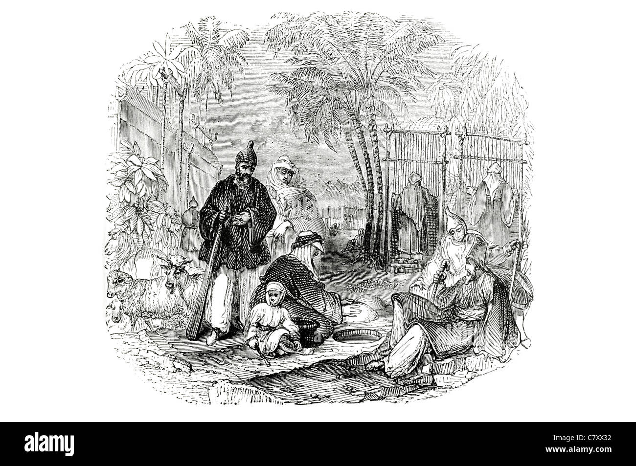 Eelauts en Perse Banque D'Images