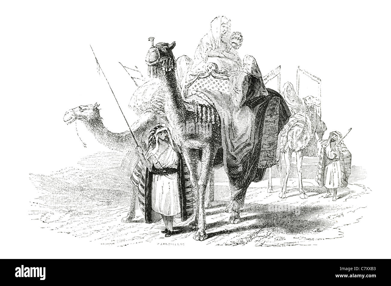 Les femmes en caravane dans le désert à dos de chameau chameau Camelus jésuite transport transport accueil ancienne circonscription de selle ride rider Banque D'Images
