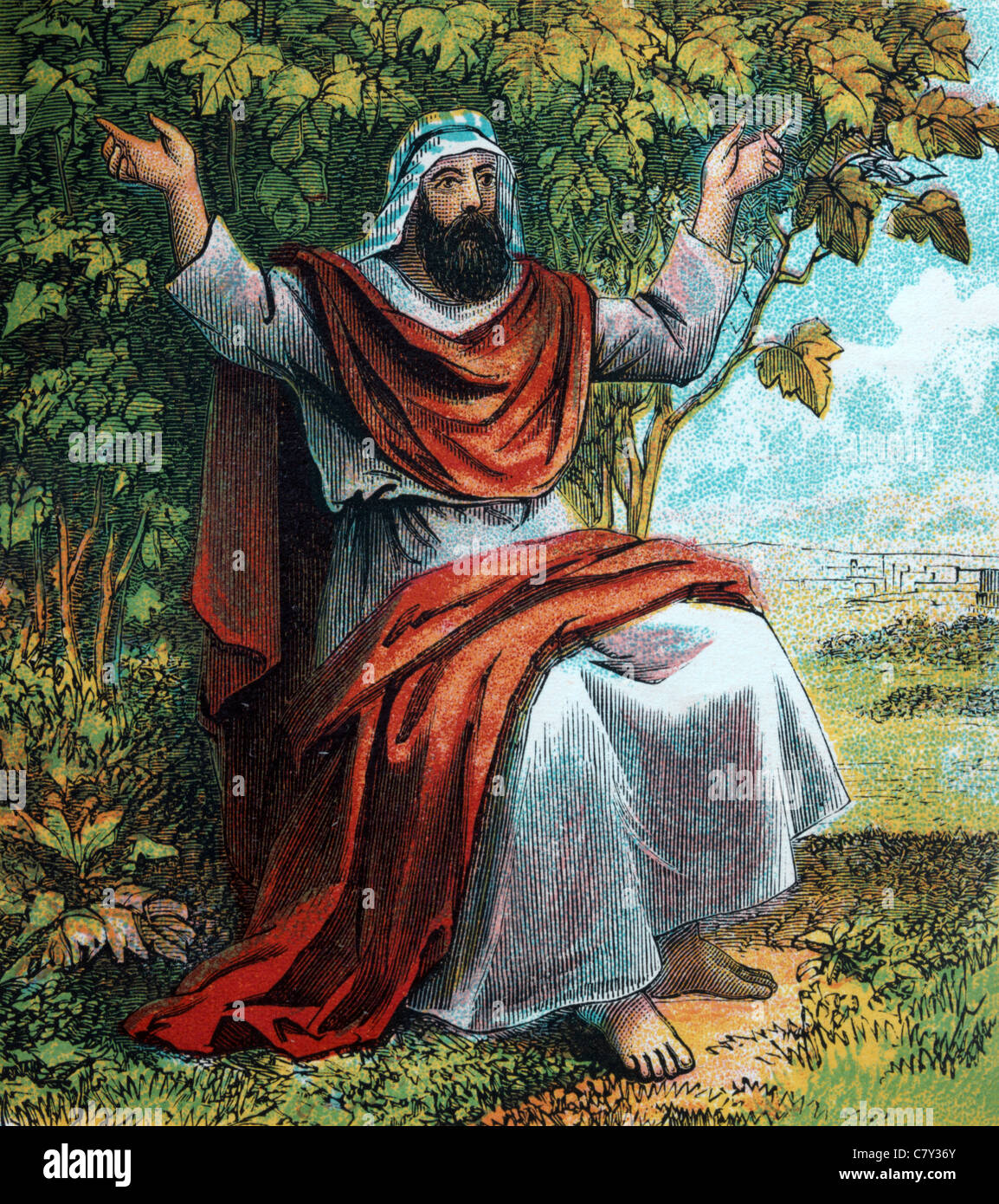 Histoires de la Bible Illustration Jonas assis sous la gourde de l