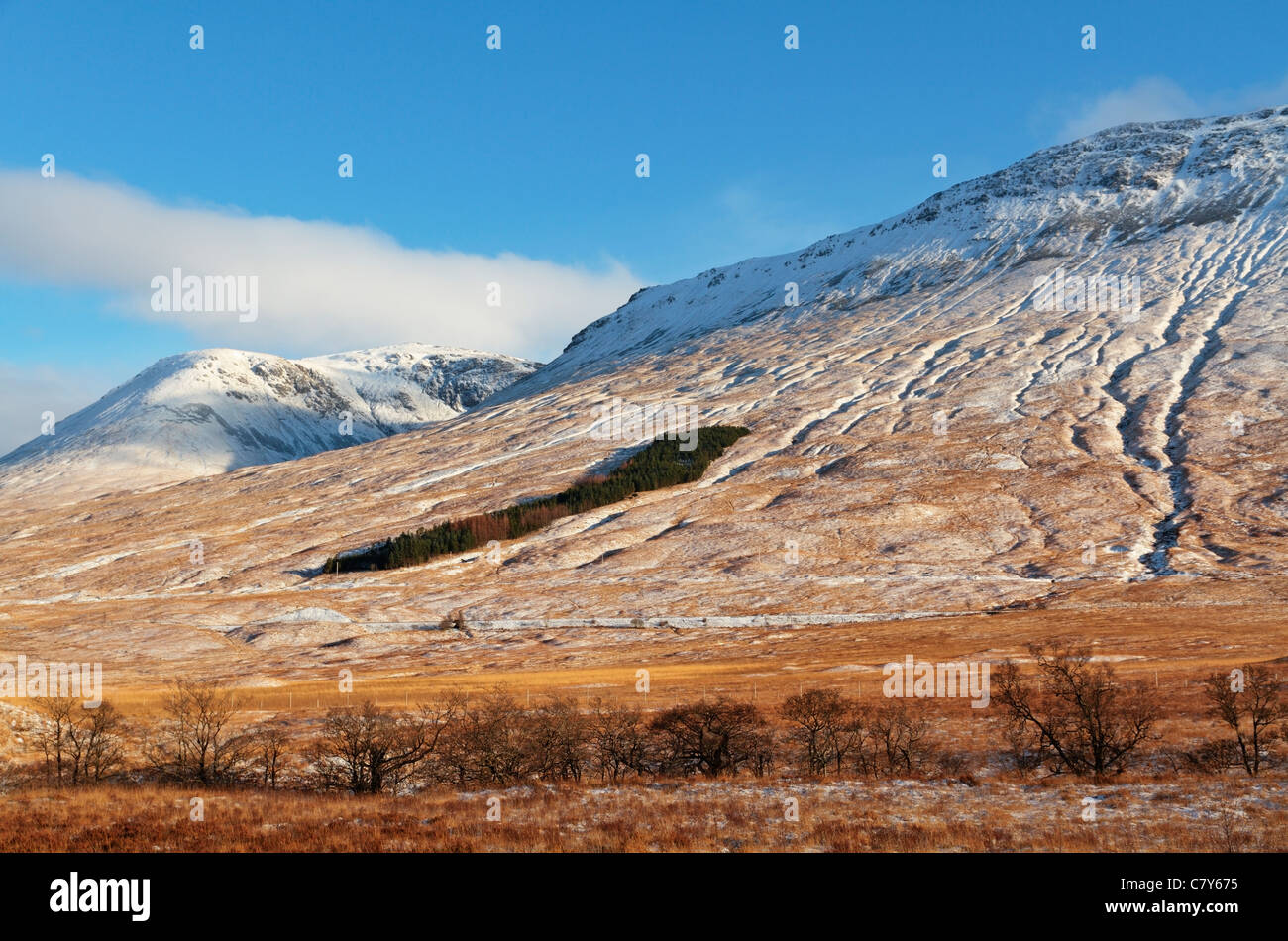 Neige couverte scène de neige d'hiver Ben Dorain, Bridge of Orchy, Argyll and Bute, Écosse, Royaume-Uni Banque D'Images