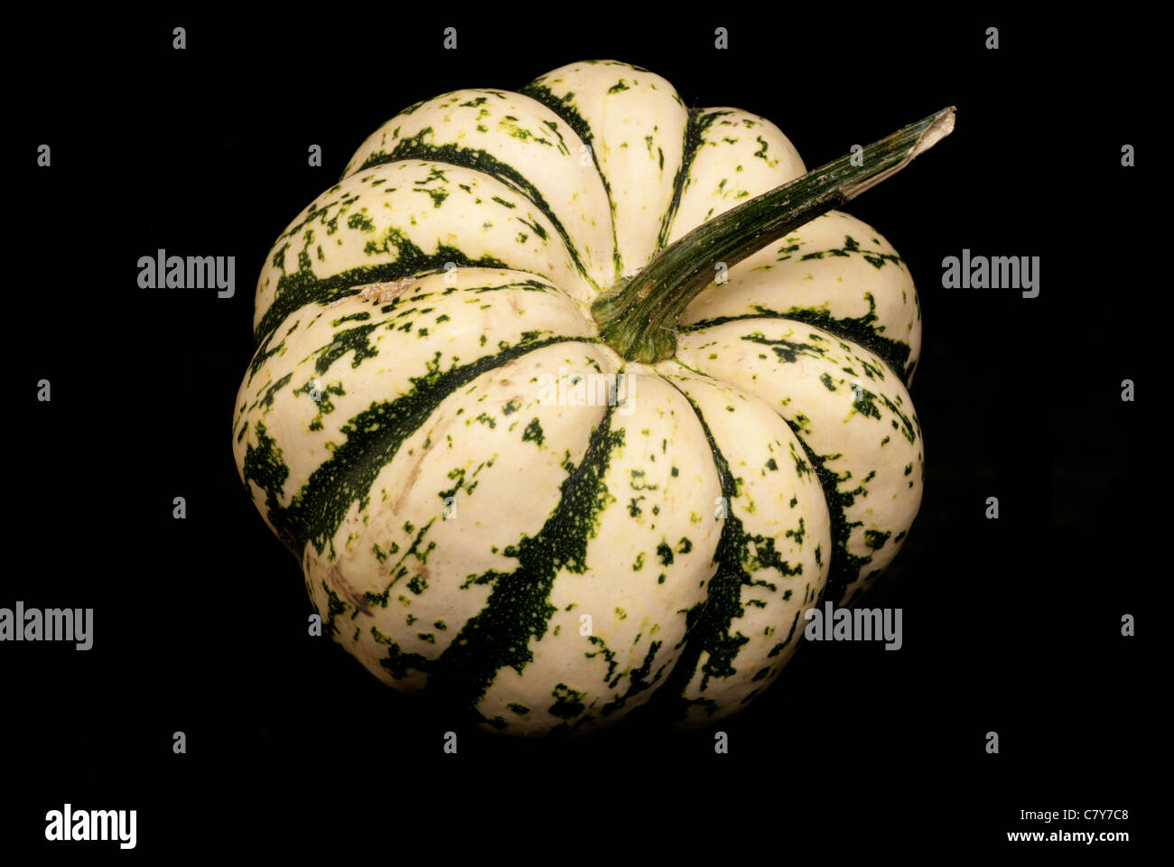 Les arlequins Squash sur un fond noir Banque D'Images