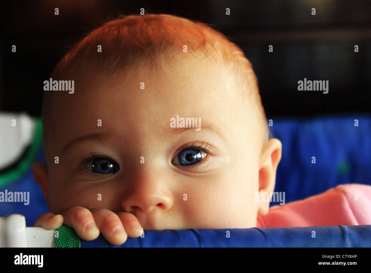 Blue-eyed baby peeking sur emballage bleu et jouer crib Banque D'Images