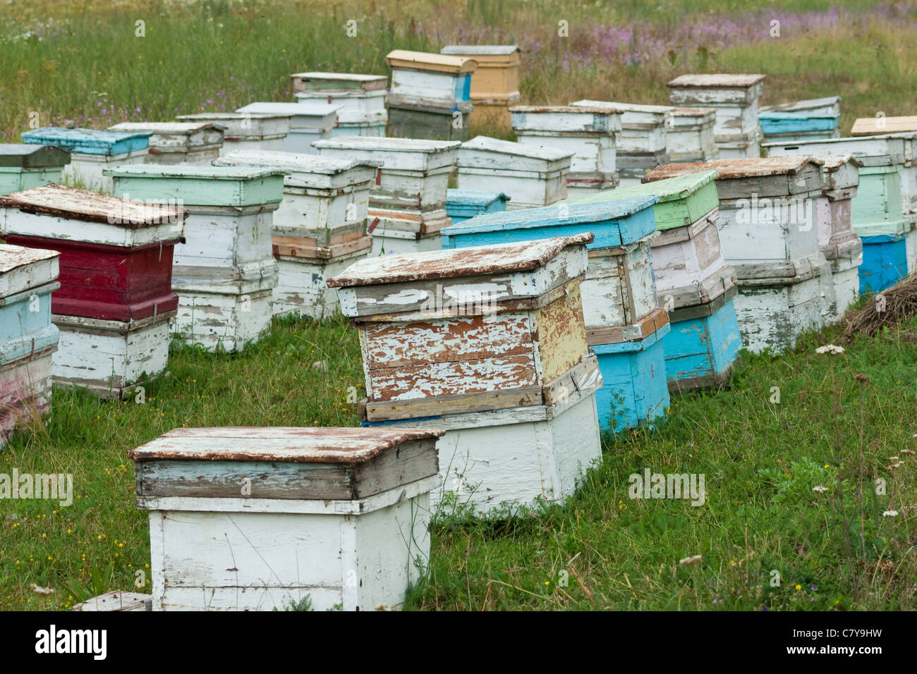 Ruche d'abeilles qui sont utilisés dans les villages pour l'obtention d'écologiquement propre et naturel bio miel de fleurs différentes Banque D'Images